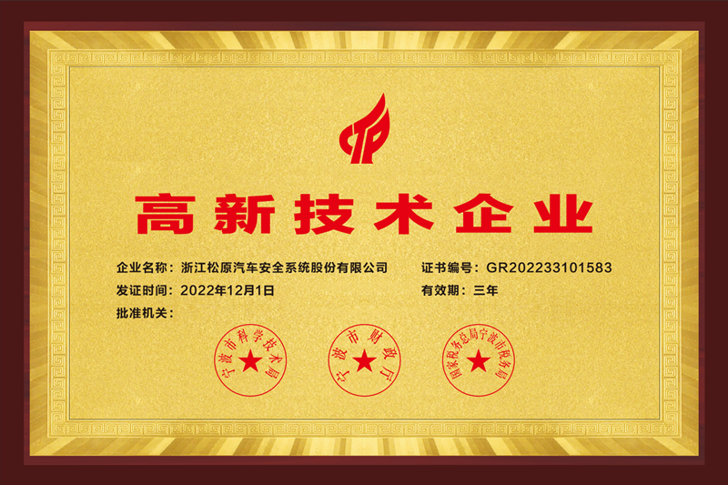 宁波市高新手艺企业