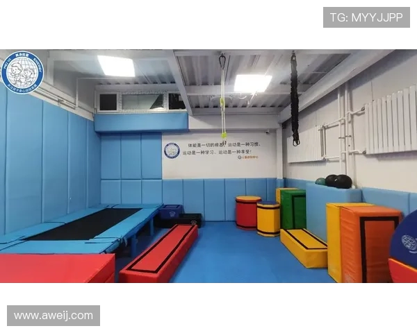 打造健康体魄从健身开始科学运动与饮食搭配让你全面提升体能与身心健康