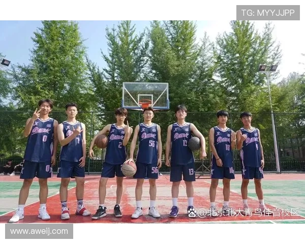 以篮球为纽带探索团队合作与青春激情在赛场上的完美融合