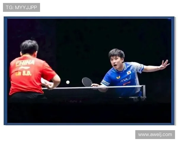 乒乓球运动的历史发展与技术革新探索及其对全球体育文化的影响