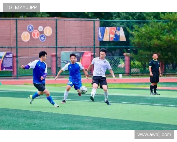 绿茵争锋荣耀之路探秘世界足球巅峰赛事与传奇球星风云