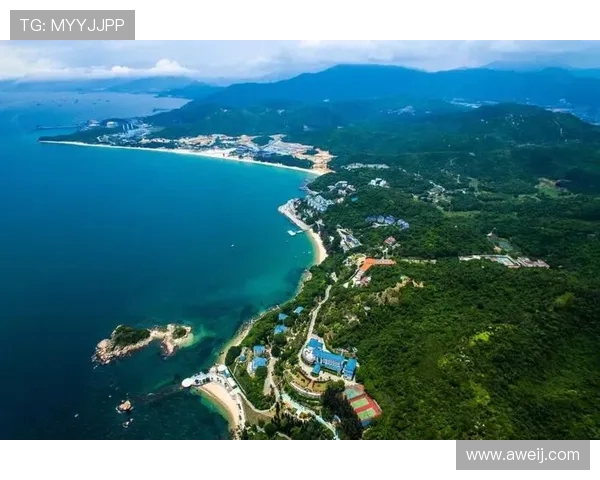 浙江广厦携手创新发展 打造区域经济新引擎推动产业升级与可持续发展