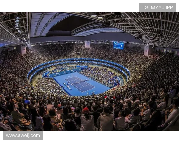 网球运动发展历程与现代技术的融合创新对比赛策略的深远影响