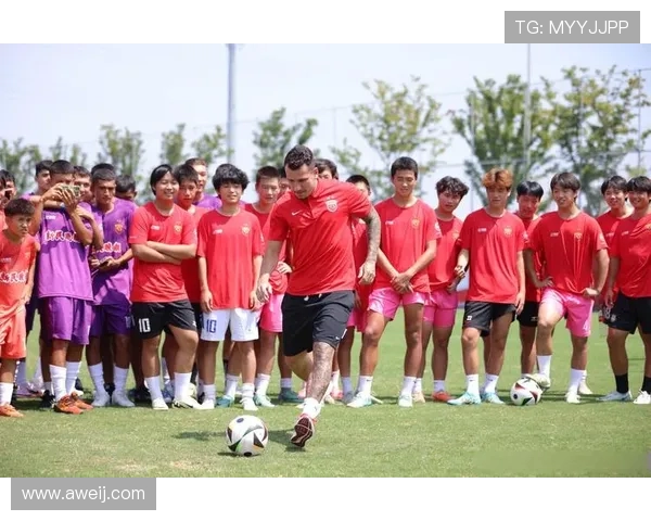 足球世界新纪元：从青训到职业联赛的全方位发展与突破