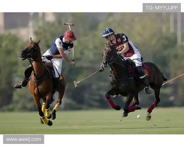 国际邀请赛聚焦LNG转型之路的挑战与机遇分析