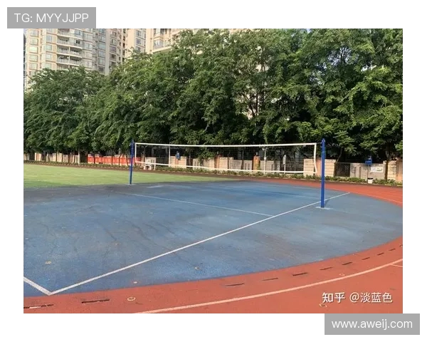 深圳排球队中路突破分析:优劣势与未来发展方向探讨 深圳排球队中路突破分析:优劣势与未来发展方向探讨