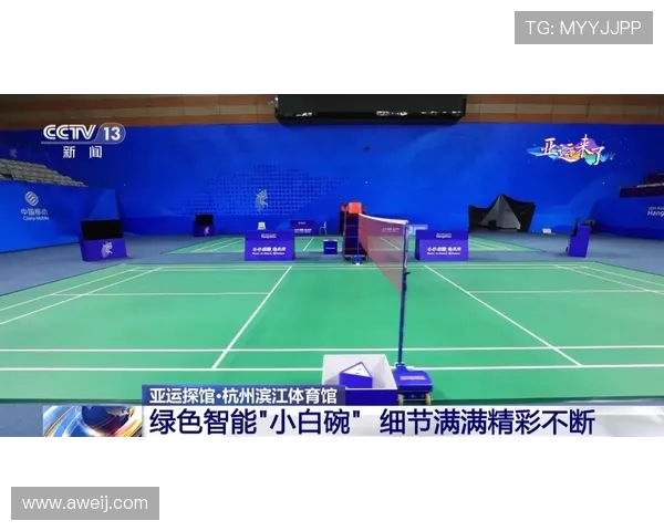 深圳羽毛球队引领最新羽毛球意识TOP10榜单全景解析 深圳羽毛球队引领最新羽毛球意识TOP10榜单全景解析