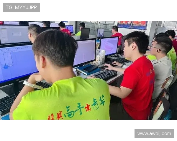 深圳飞盘队的运营体系与战术创新探索之路 深圳飞盘队的运营体系与战术创新探索之路