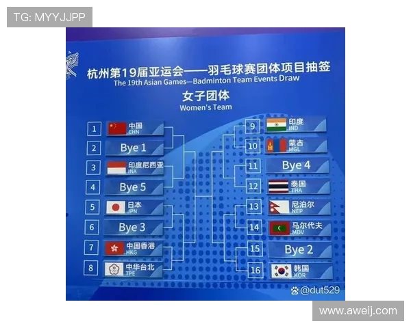 羽毛球团队协作榜单揭晓杭州羽毛球队荣登第一名