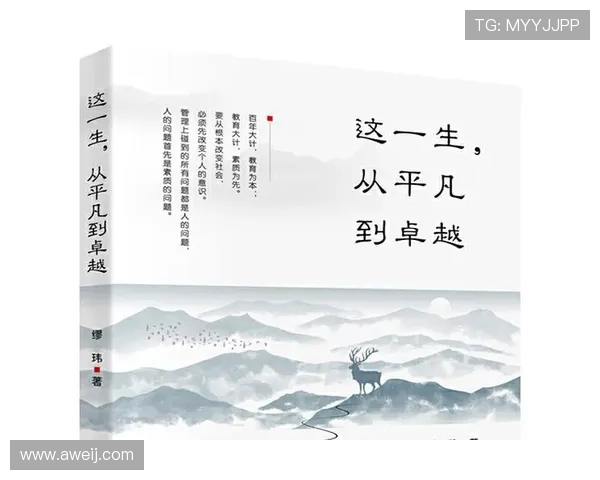 刘铮的奋斗历程与成就探讨：从平凡到卓越的成长之路